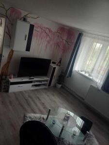 TV o dispositivi per l'intrattenimento presso Ubytování Dobešov