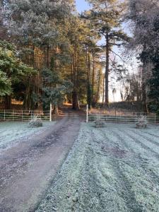 a dirt road in a field with trees and a fence at Lisglassock House in Longford