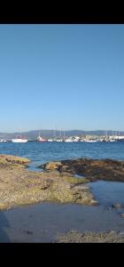 Природа в окрестностях апартаментов/квартиры