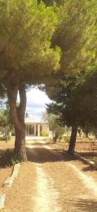 Taman di luar Trullo Contrada Specchi
