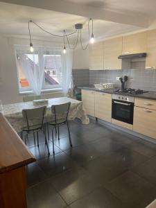 eine Küche mit einem Tisch und Stühlen in einer Küche in der Unterkunft Appartement Centre Alsace in Gertwiller + 12 Fotos