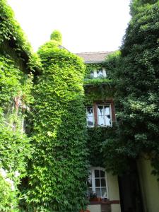 Gallery image of Hotel Burg-Stuben in Mainz