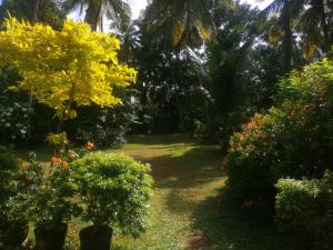 Fotografie z fotogalerie ubytování Udara's Colombo Rooms v destinaci Battaramulla