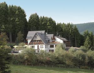 Wald Hotel Willingen في فيلنغن: بيت ابيض كبير وسط ميدان