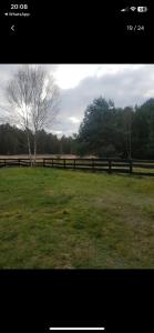 Fotografie z fotogalerie ubytování Uroczy domek letniskowy w otoczeniu przyrody v destinaci Błonie