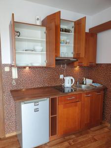 Kuchnia lub aneks kuchenny w obiekcie Apartament Konrad w centrum 600 m od morza
