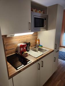 ミュンヘンにあるMyRoom - Munich Fair Apartmentsのシンクと電子レンジ付きの小さなキッチン