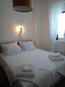 Postel nebo postele na pokoji v ubytování Jagodina Apartman Nastasija- gleda na Aqva park