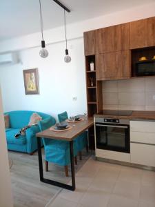 Kuchyň nebo kuchyňský kout v ubytování Jagodina Apartman Nastasija- gleda na Aqva park
