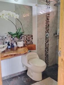 un bagno con wc e doccia di Hermosa Villa La Laja Rionegro a Rionegro