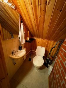 Et badeværelse på Villa Livotar Syöte + 36 billeder