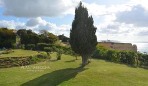 a tree in the middle of a field with the ocean at Vilas Marrocha in Porches