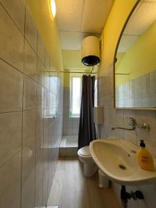 a bathroom with a sink and a toilet and a mirror at Dejan apartment 3-Free parking near Arena in city center, near bus, train, ferry, airport shuttle in Pula +37 photos