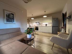 Kuchyň nebo kuchyňský kout v ubytování Apartments Deak