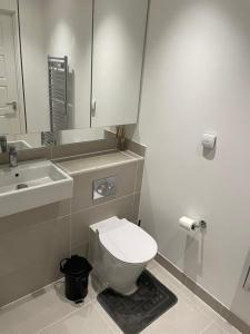 a bathroom with a toilet and a sink and a mirror at Royal One Bed Apartment in North Woolwich
