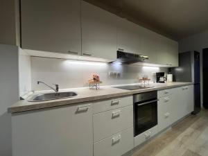 Kuchyň nebo kuchyňský kout v ubytování Apartments Deak