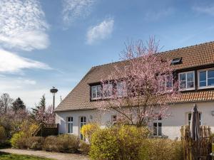 a house with a flowering tree in front of it at Studio in Buchholz am Müritzsee in Buchholz