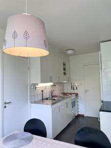 Cucina o angolo cottura di Lovely apartment in the center of Ryd
