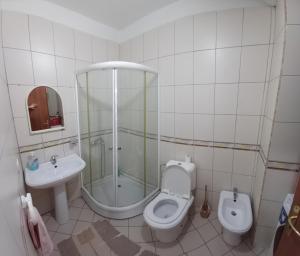 斯库台New apartment in the city center的配有马桶、淋浴和水槽的浴室 更多37张照片