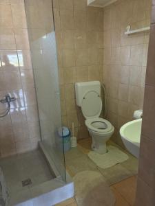 a bathroom with a shower and a toilet and a sink at Magurele Forest in Măgurele