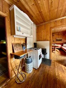 a kitchen with a stove and a counter in a cabin at Hytte uten hyttenaboer in Nore