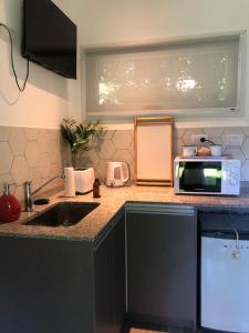 une cuisine avec un évier et un micro-ondes sur un comptoir dans l'établissement Monoambiente, à San Carlos de Bariloche
