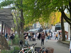 a crowd of people walking down a street with trees at Żeromskiego 2024 in Gdynia