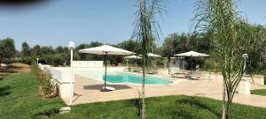 a swimming pool with umbrellas in a yard at Oleum in Mesagne