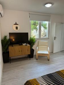 TV a/nebo společenská místnost v ubytování Apartman Laura