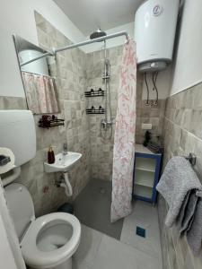 Koupelna v ubytování Apartman Laura