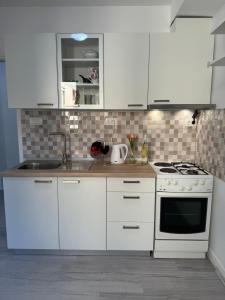 Kuchyň nebo kuchyňský kout v ubytování Apartman Laura