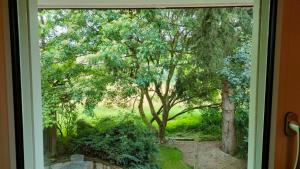 Giardino di Nisihof, Abendblick