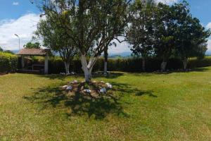 Billede fra billedgalleriet på Villa Mariposa i Palestina