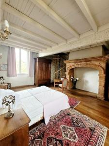 a bedroom with a large bed and a fireplace at Domaine d'en serres, 15th century castle in Saint-Marcel-Paulel
