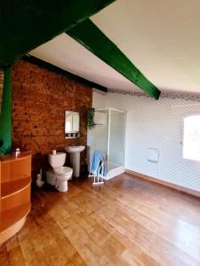 a room with a bathroom with a toilet and a sink at Domaine d'en serres, 15th century castle in Saint-Marcel-Paulel