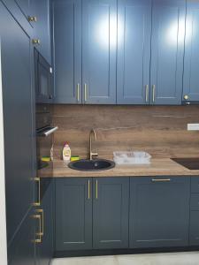a kitchen with blue cabinets and a sink at Venima City Center Apartment in Tivat