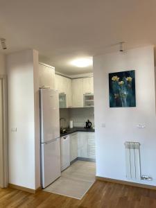 Kuchyň nebo kuchyňský kout v ubytování Apartman Luni + 35 fotografií