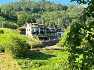 dom na wzgórzu w zielonym polu w obiekcie Apartamentos rurales Balcón del Marqués w mieście Cangas de Onís