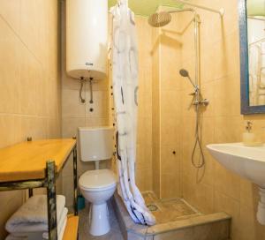 Koupelna v ubytování Holiday Home Dalmatinska Kuća