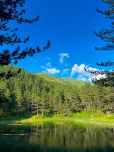 Gallery image of Hotel Restaurant Radomira in Ceren +39 photos