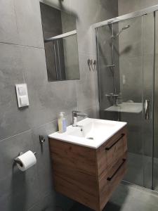 a bathroom with a sink and a shower at Green House - Sienkiewicza 27 Uniejów in Uniejow