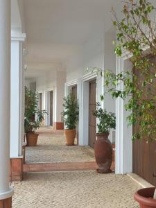 アヤモンテにあるMirador del Guadianaの鉢植えの空廊