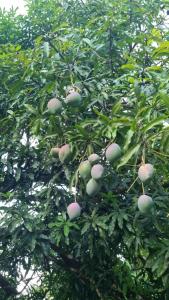 Fotografie z fotogalerie ubytování SL Montaña Tranquila v destinaci Esperanza