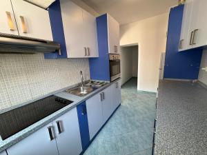Kuchyň nebo kuchyňský kout v ubytování Apartments Prosika