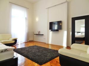 a living room with a television and a couch and a rug at Erzsebet Boulevard Apartment in Budapest
