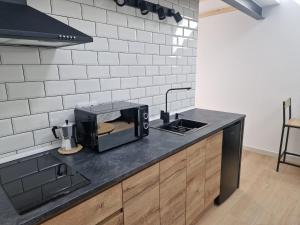 a kitchen counter with a toaster oven and a sink at Apartamentos Pasiño in Portomarin