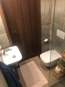 a bathroom with a toilet and a sink and a shower at Stara Praga in Warsaw +5 photos