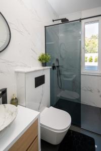 a bathroom with a toilet and a glass shower at Family friendly house with a swimming pool Bibinje, Zadar - 23363 in Bibinje