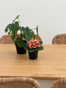 due piante in vaso sedute sopra un tavolo di Apartamento Estrellas de Mar a Ribeira Altre 18 foto