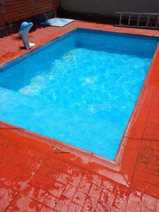 a small blue swimming pool with a toy bird in it at Oga Guasu casa con piscina exclusiva in Puerto Iguazú